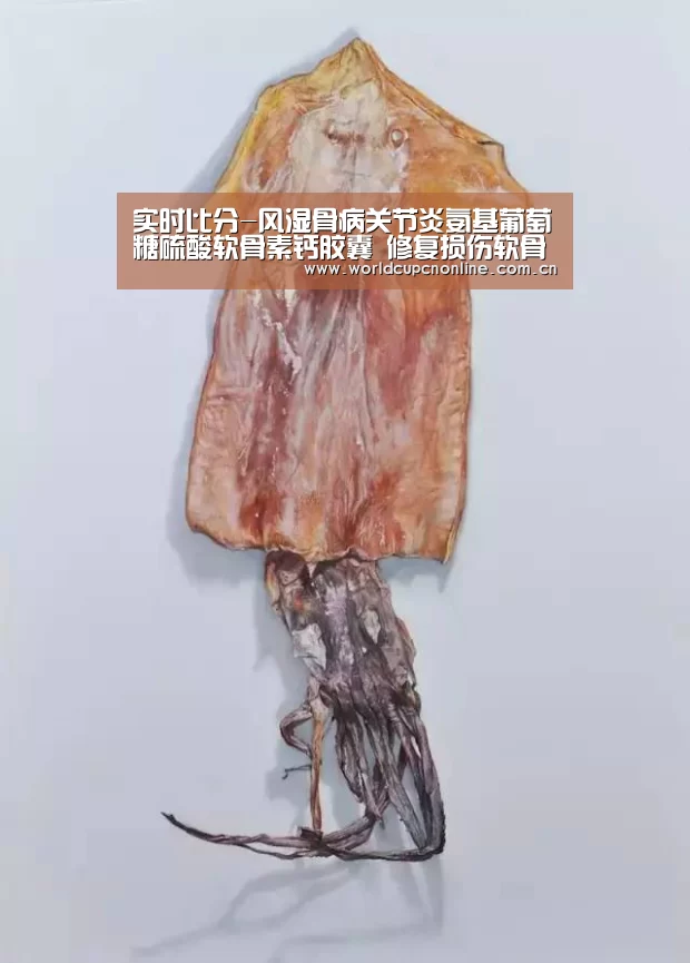 实时比分-风湿骨病关节炎氨基葡萄糖硫酸软骨素钙胶囊 修复损伤软骨关节(图1) 世界杯直播