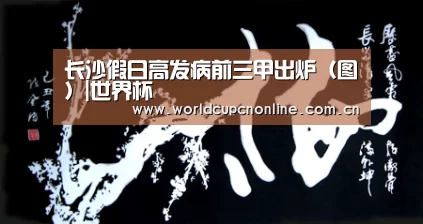 长沙假日高发病前三甲出炉(图)|世界杯(图1) 比赛集锦