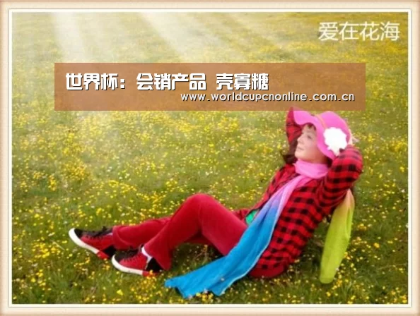 世界杯:会销产品 壳寡糖(图2) 世界杯