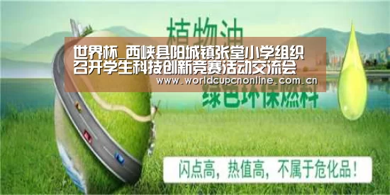世界杯_西峡县阳城镇张堂小学组织召开学生科技创新竞赛活动交流会(图1) 比赛集锦