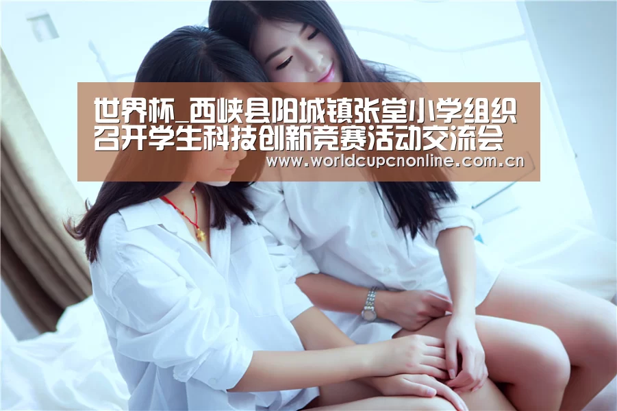世界杯_西峡县阳城镇张堂小学组织召开学生科技创新竞赛活动交流会(图2) 世界杯直播